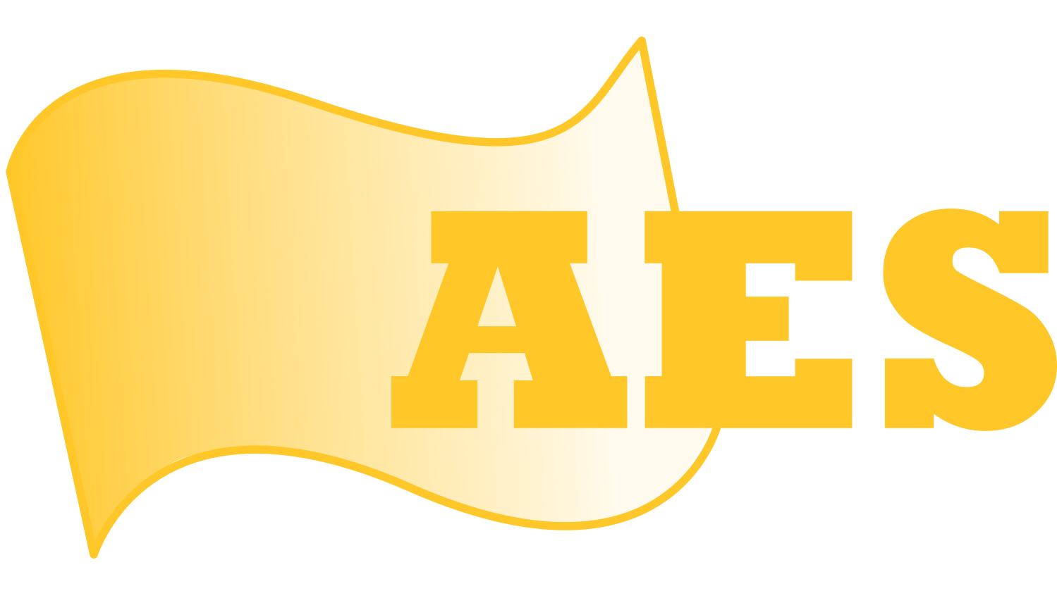 American Efficiency Services, LLC logo
